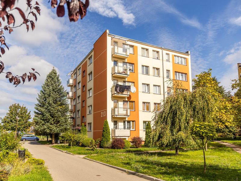 Zdjęcie ogłoszenia -  