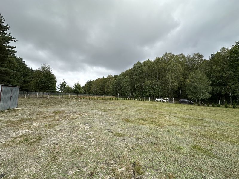 Zdjęcie ogłoszenia -  