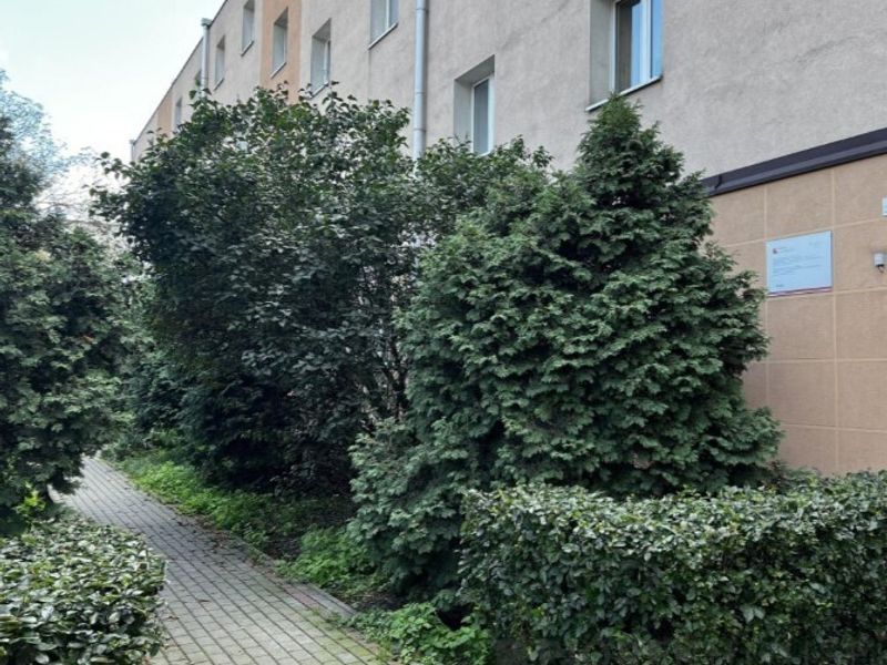Zdjęcie ogłoszenia -  