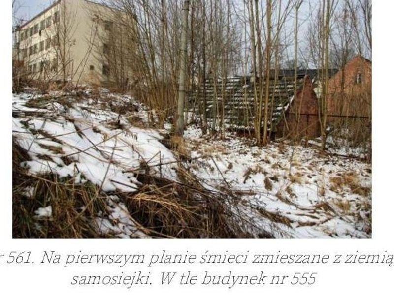 Zdjęcie ogłoszenia -  
