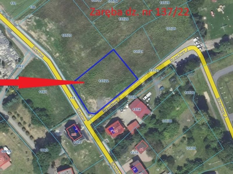 Zdjęcie ogłoszenia -  
