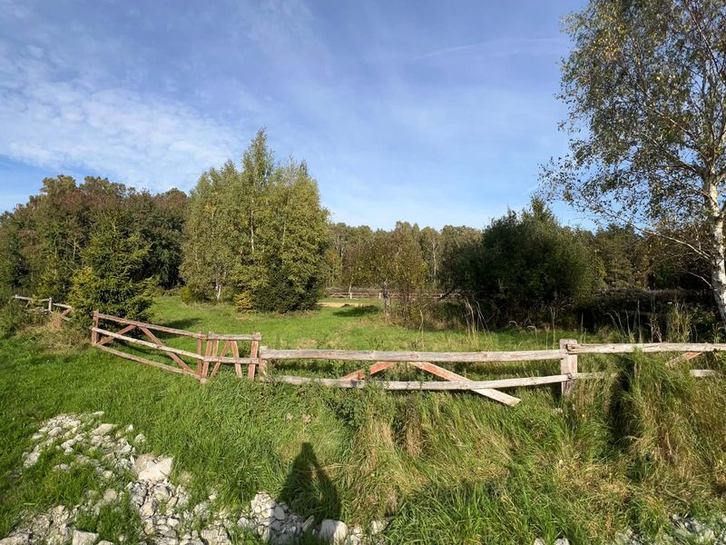 Zdjęcie ogłoszenia -  