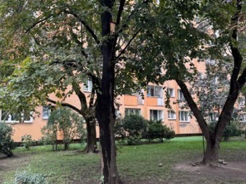Zdjęcie ogłoszenia -  