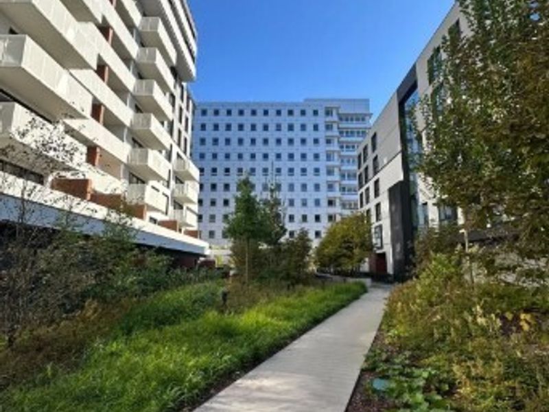 Zdjęcie ogłoszenia -  