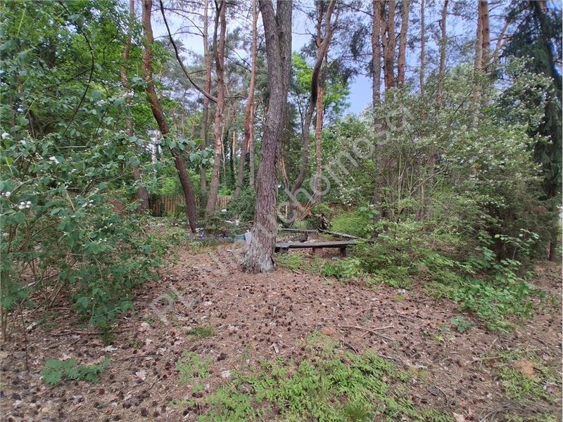 Zdjęcie ogłoszenia -  