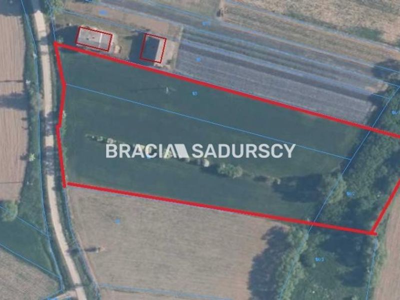 Zdjęcie ogłoszenia -  