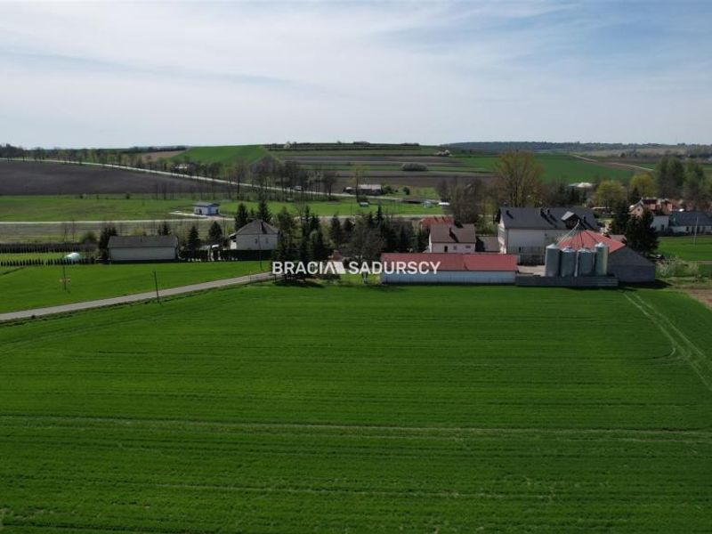 Zdjęcie ogłoszenia -  