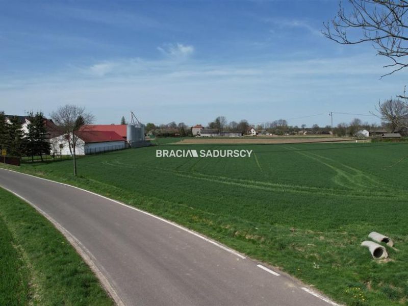 Zdjęcie ogłoszenia -  