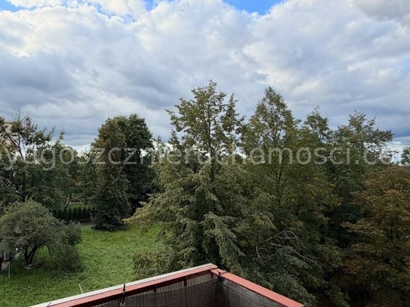 Zdjęcie ogłoszenia -  