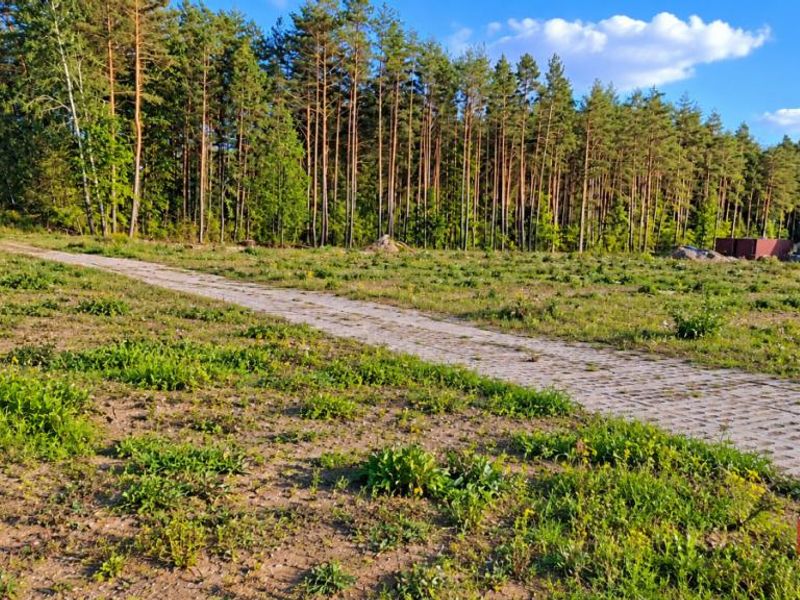 Zdjęcie ogłoszenia -  