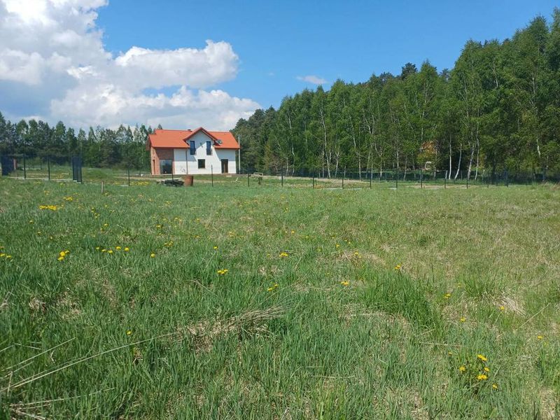 Zdjęcie ogłoszenia -  