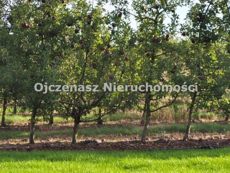 Zdjęcie ogłoszenia -  