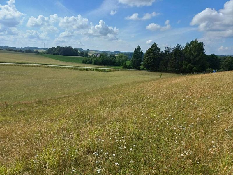 Działka budowlana 1011 m², Borzestowska Huta