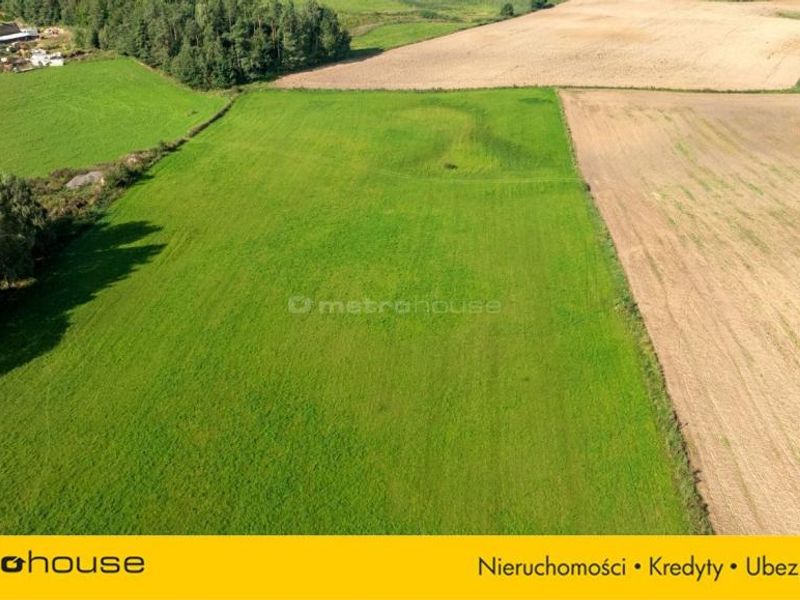 Zdjęcie ogłoszenia -  