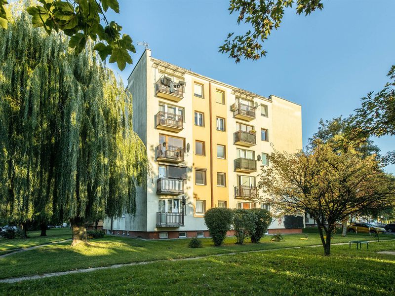 Zdjęcie ogłoszenia -  