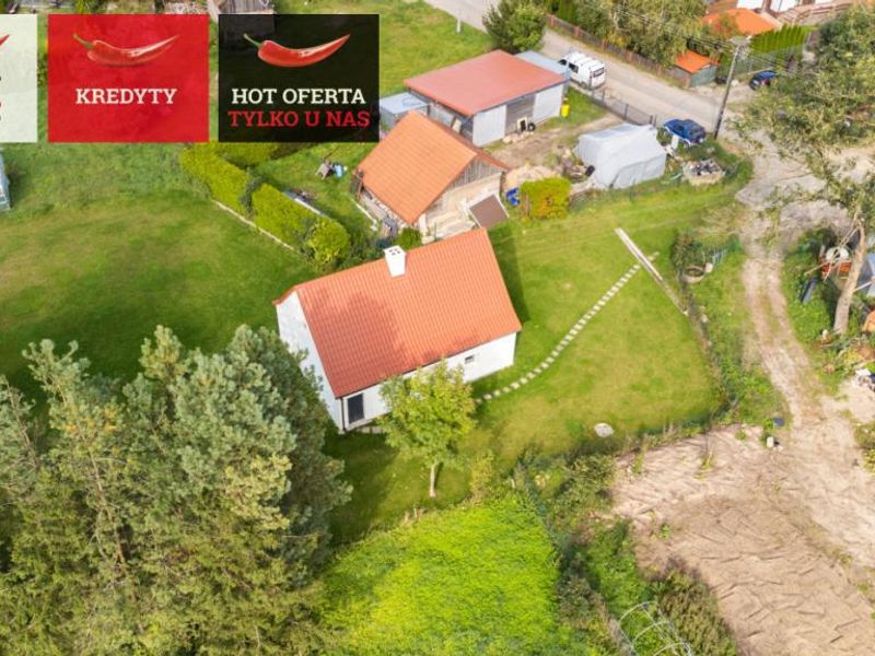 Zdjęcie ogłoszenia -  