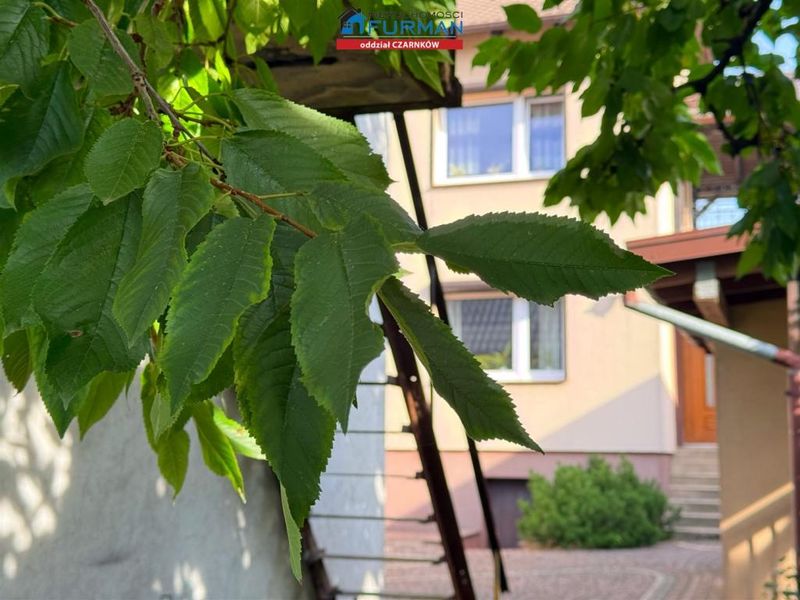 Zdjęcie ogłoszenia -  