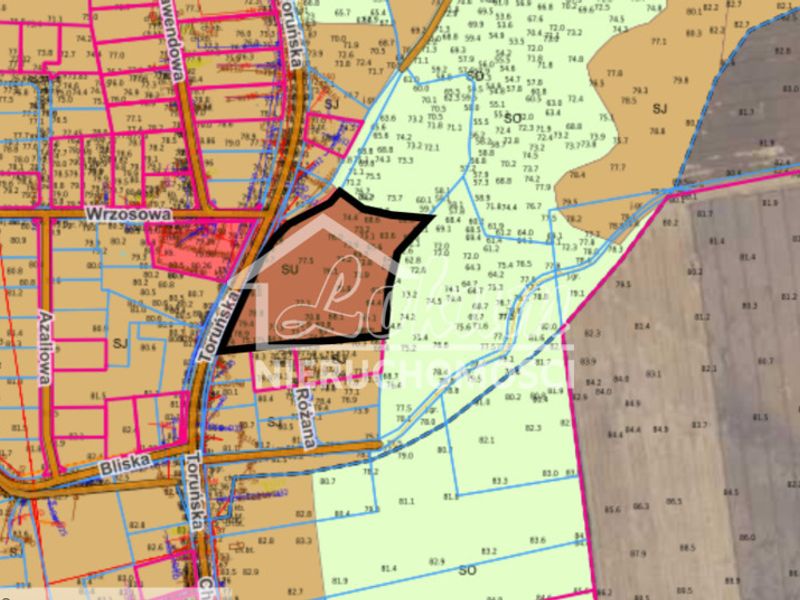 Działka budowlana 1,35 ha, Chełmno - ID: 15976447