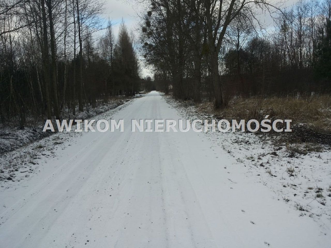 Działka na sprzedaż, Wiskitki, Antoniew