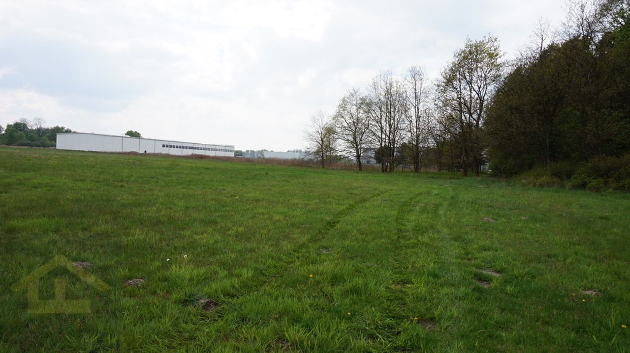 Działka na sprzedaż, Całowanie