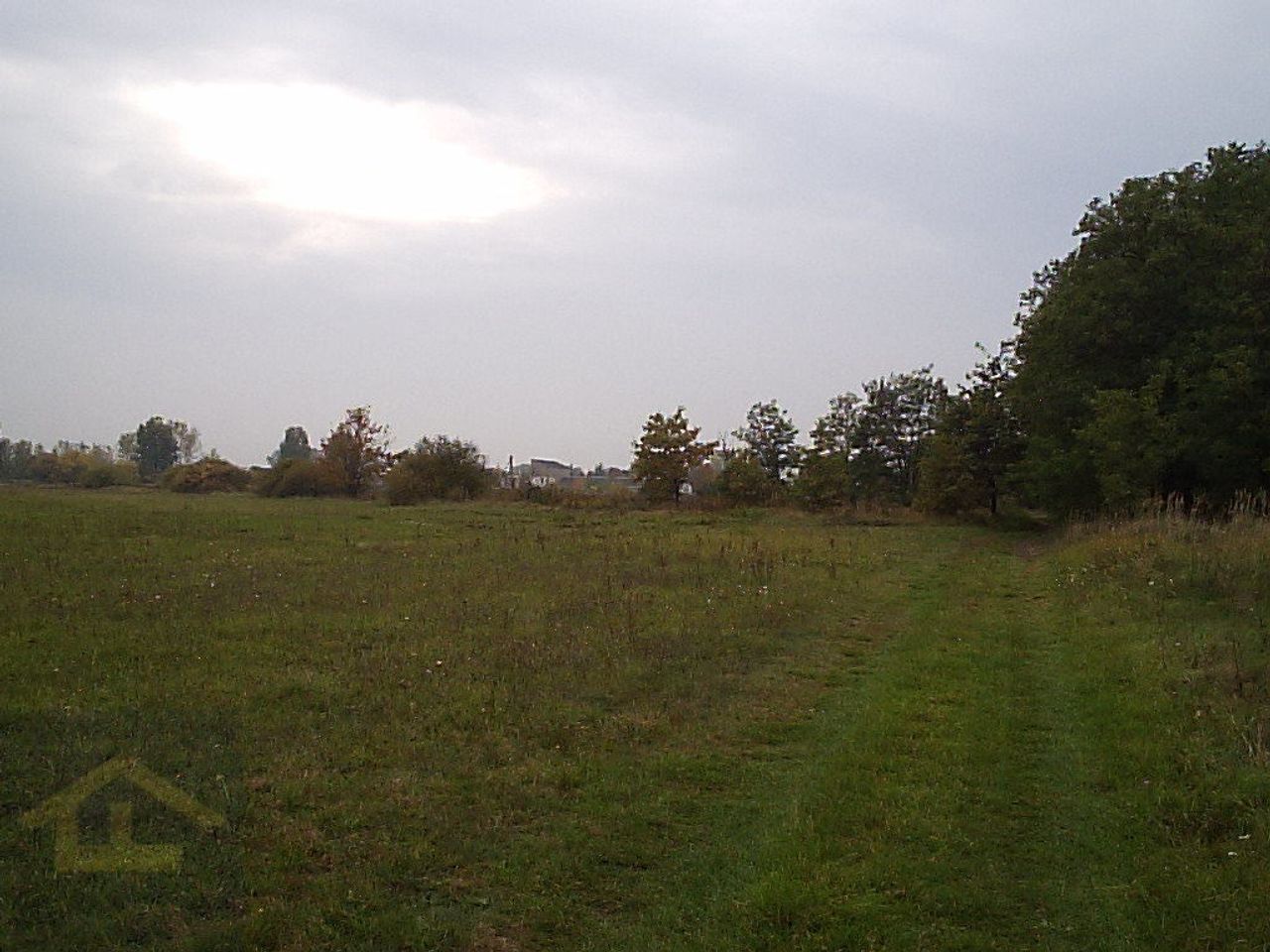 Działka na sprzedaż, Całowanie