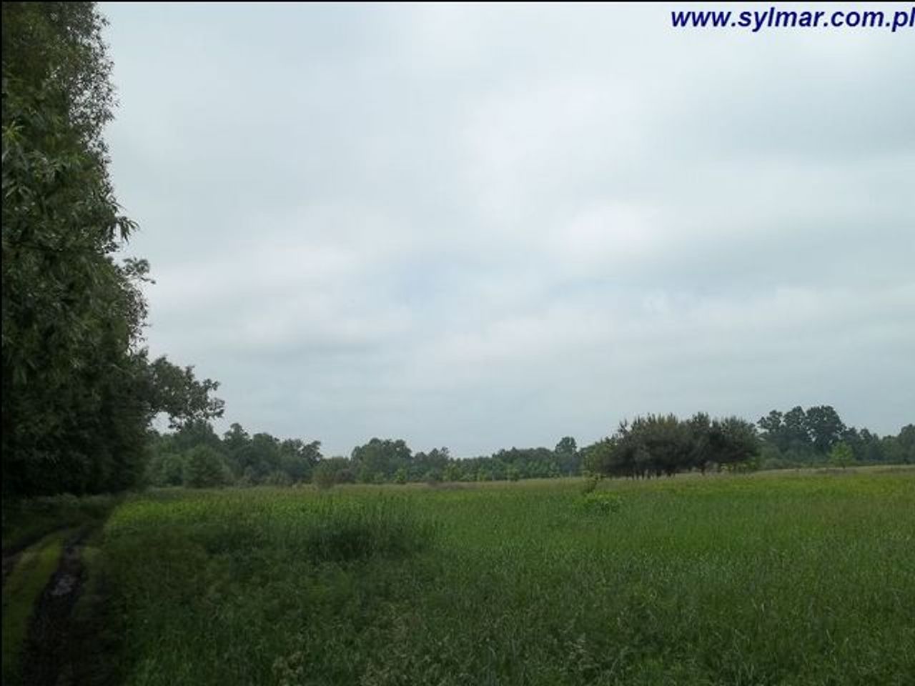 Działka na sprzedaż, Góra Kalwaria, Obręb