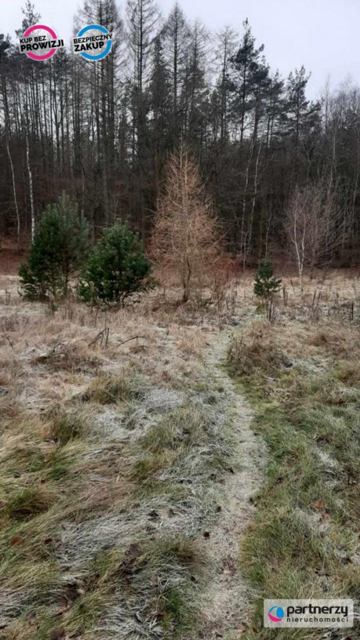 Zdjęcie 4