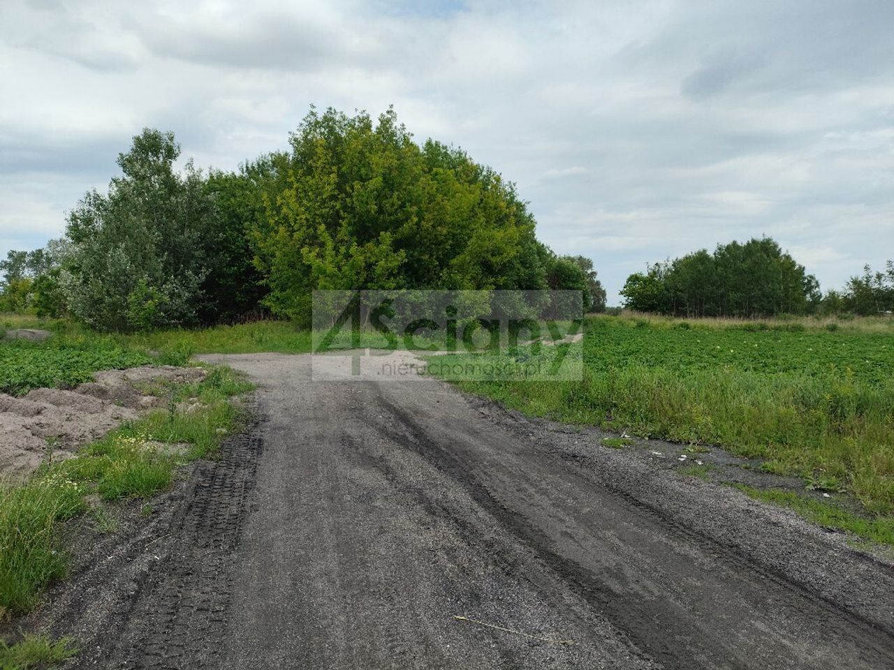 Zdjęcie 2