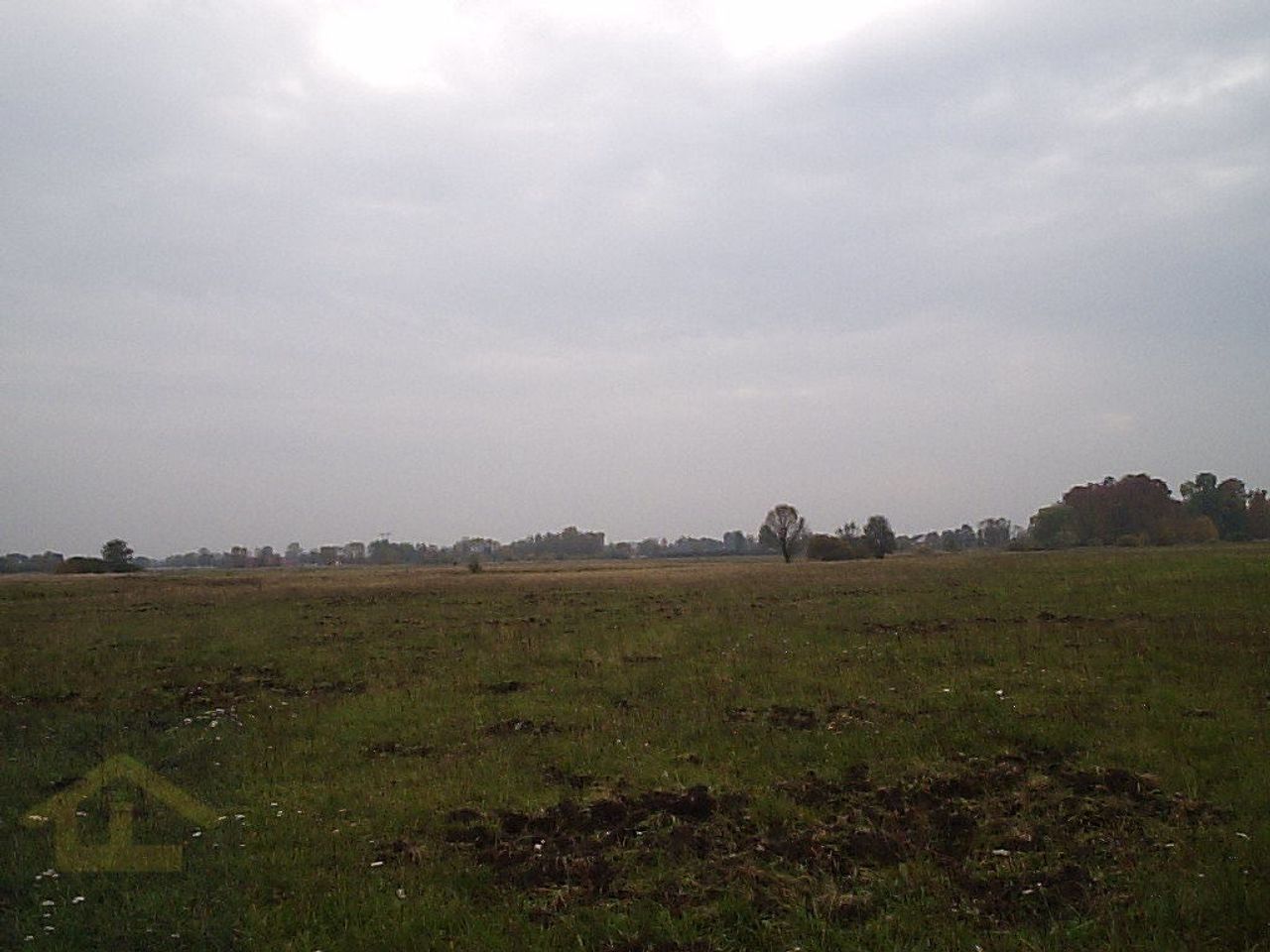 Działka na sprzedaż, Całowanie