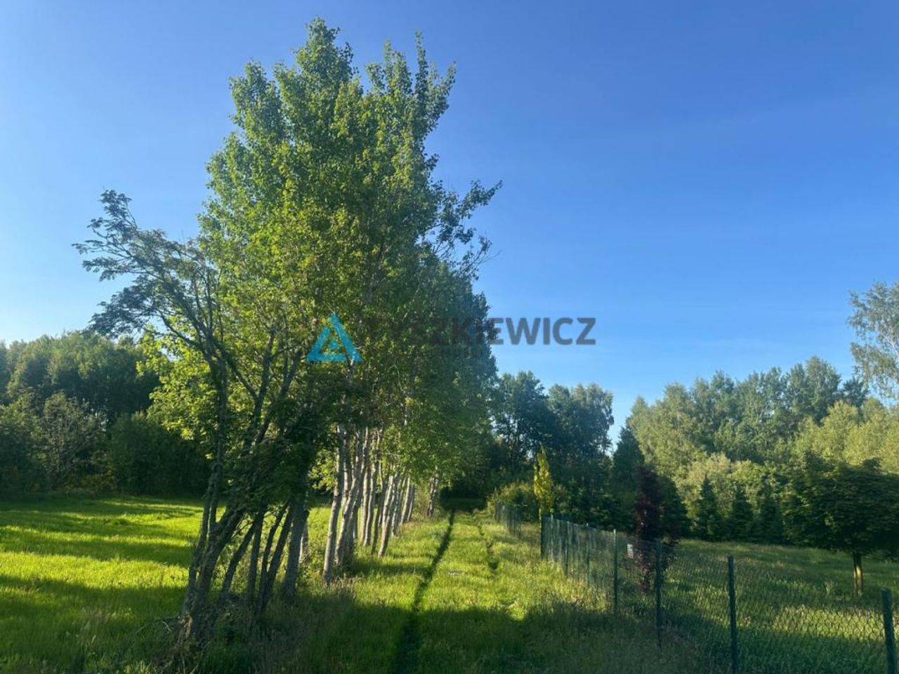 Zdjęcie 6