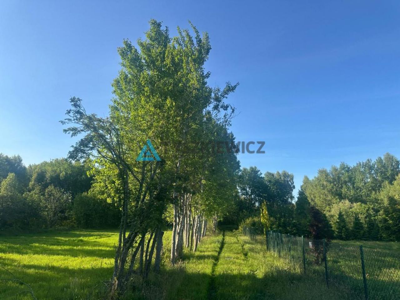 Zdjęcie 5