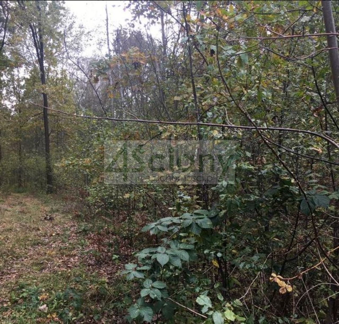 Działka na sprzedaż, Nowy Prażmów