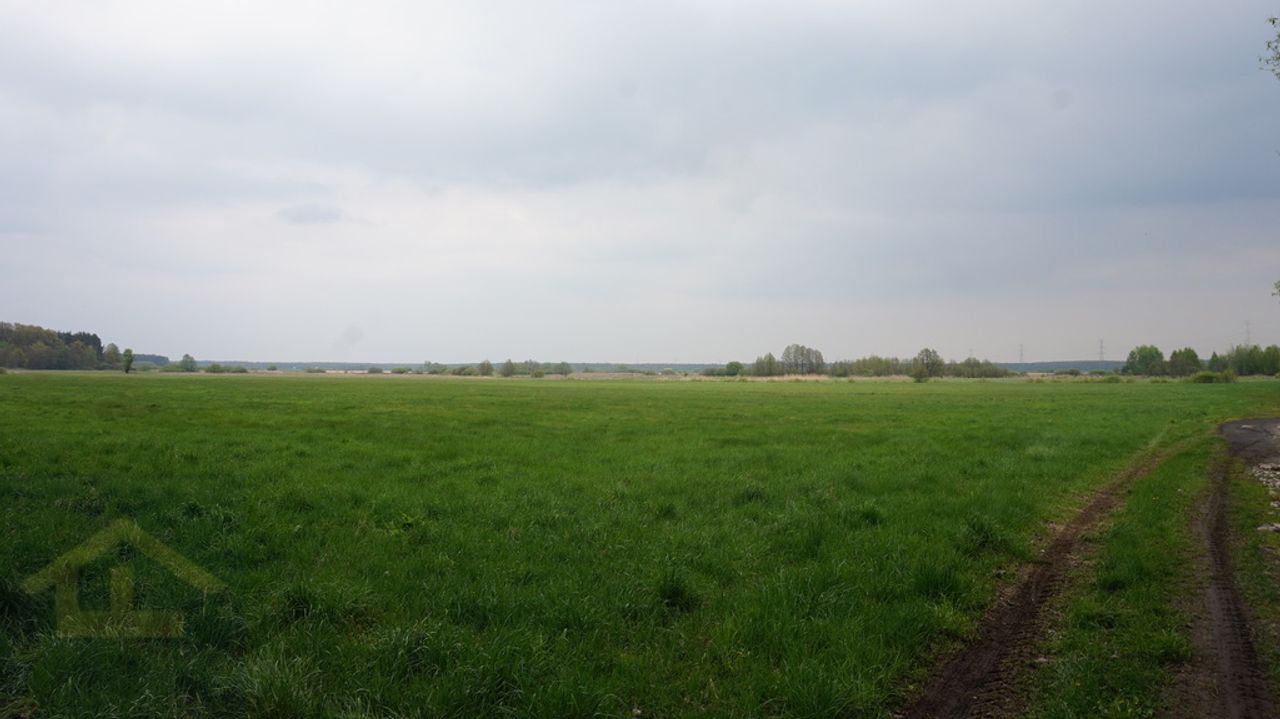 Działka na sprzedaż, Całowanie