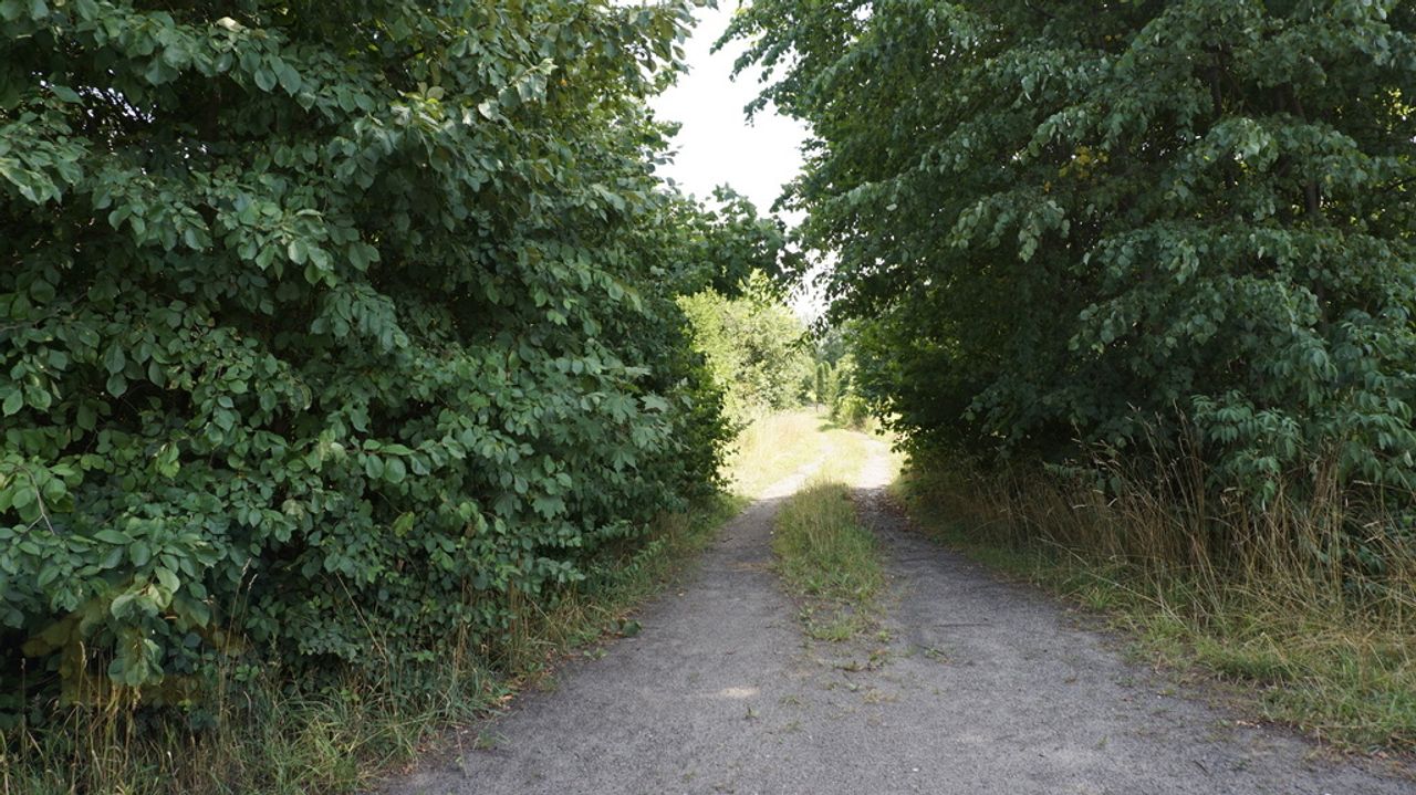 Działka na sprzedaż, Otwock Wielki