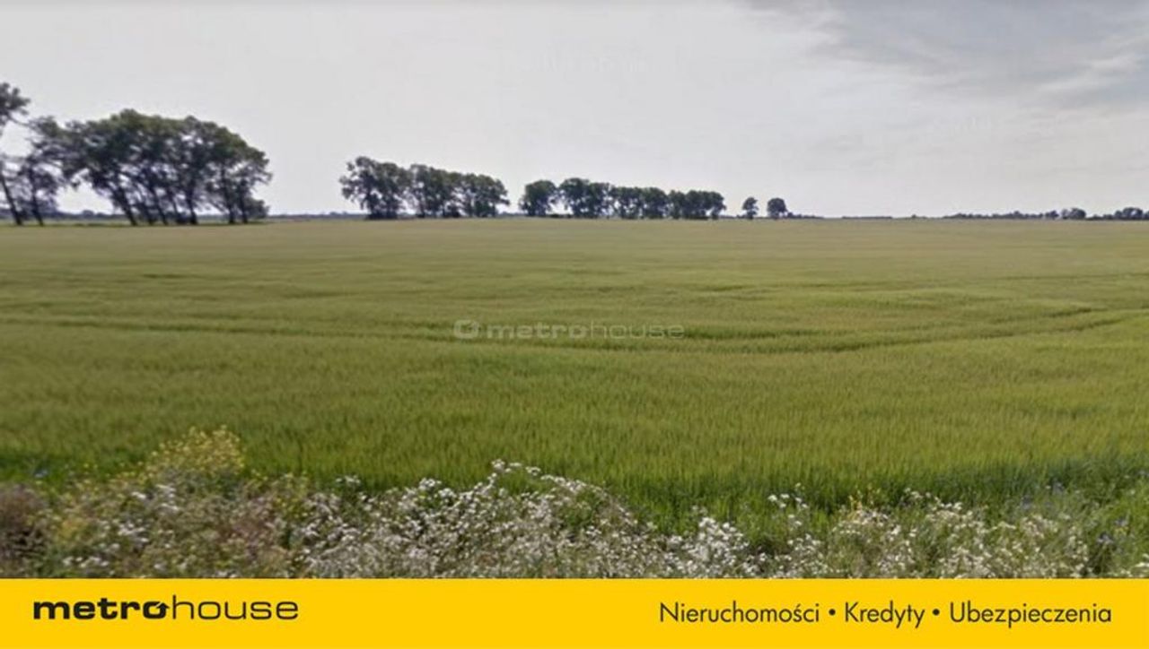 Zdjęcie 4