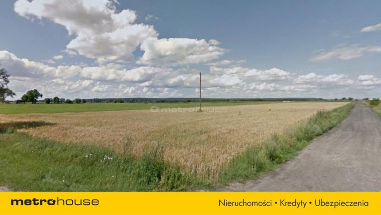 Zdjęcie 3