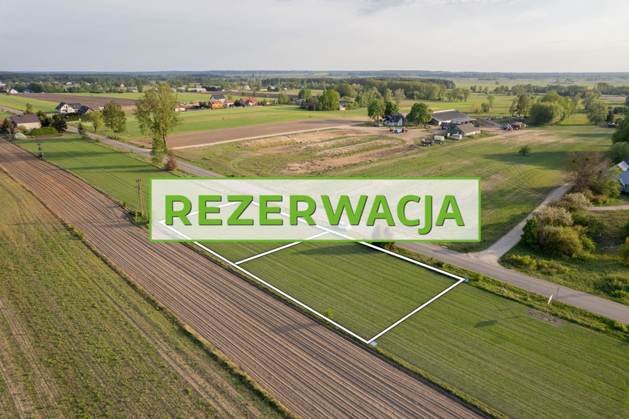 Zdjęcie 5