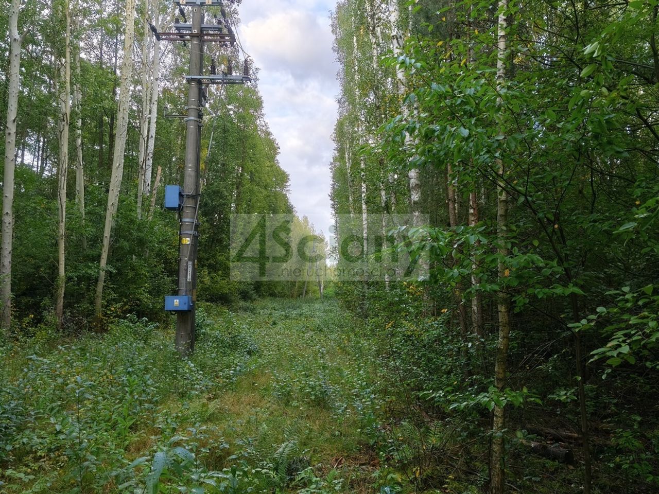 Zdjęcie 7