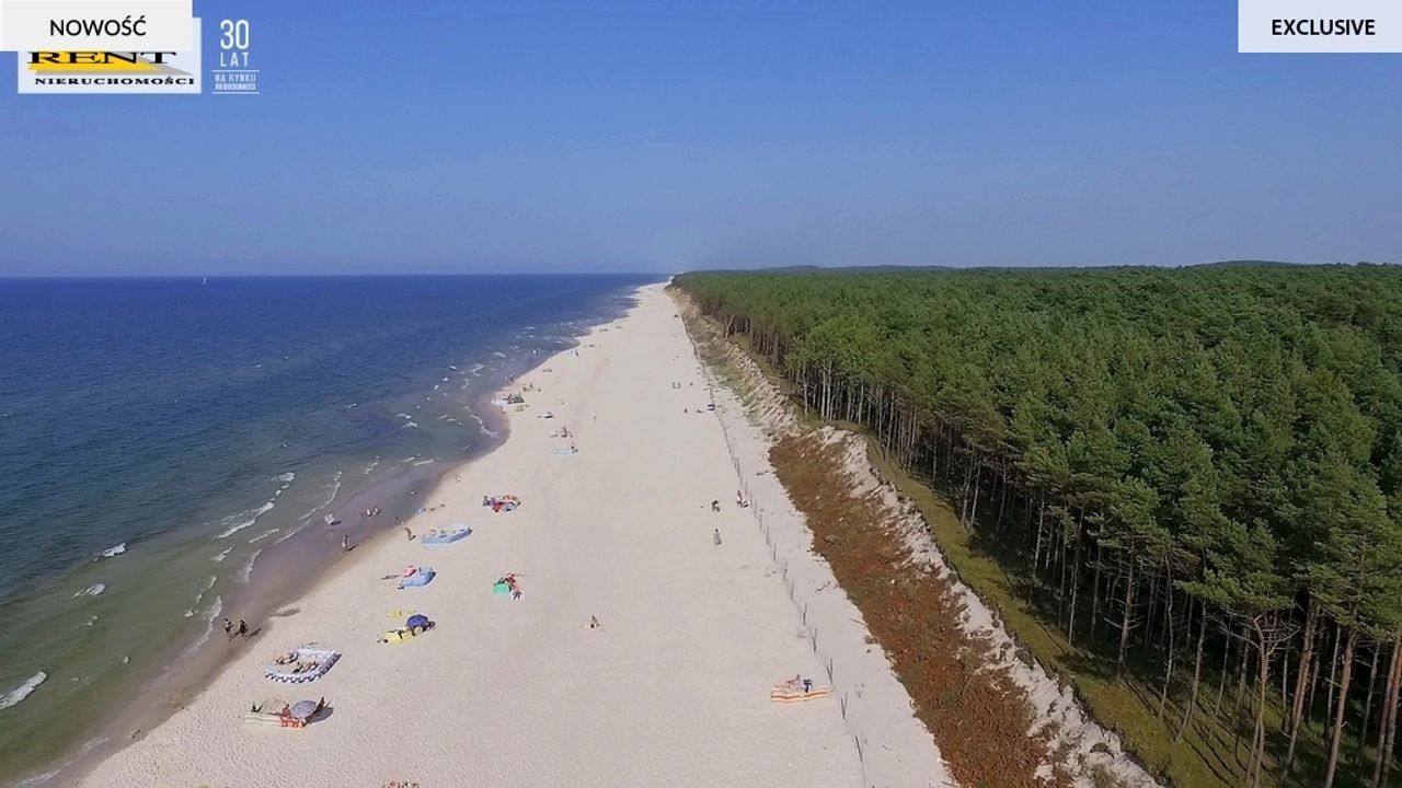 Zdjęcie 6