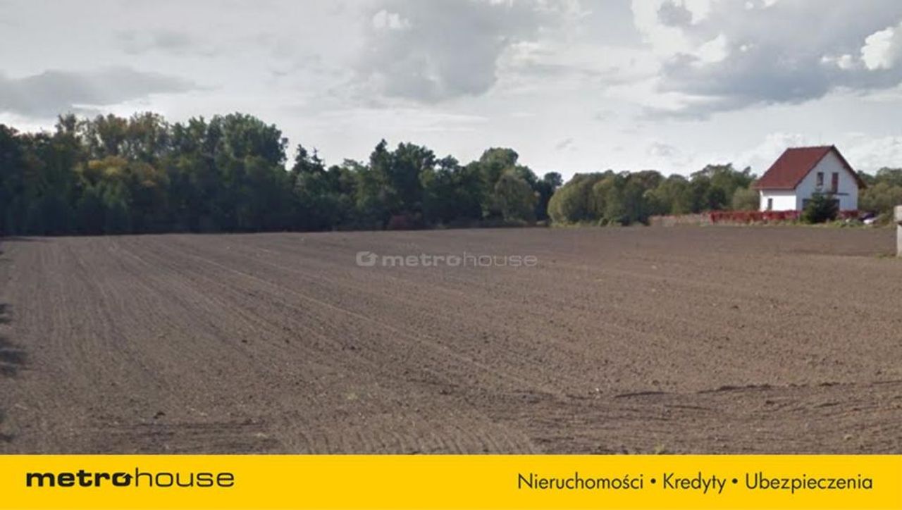 Zdjęcie 5