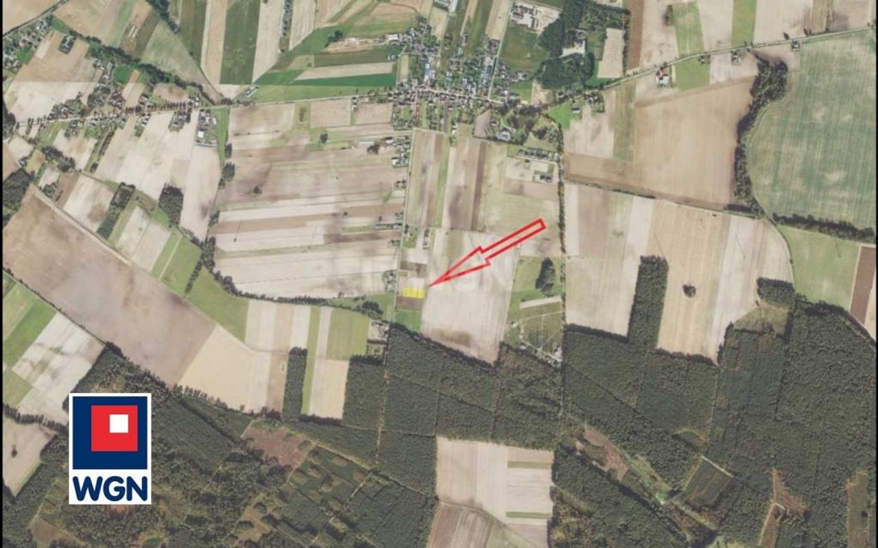 Zdjęcie 6