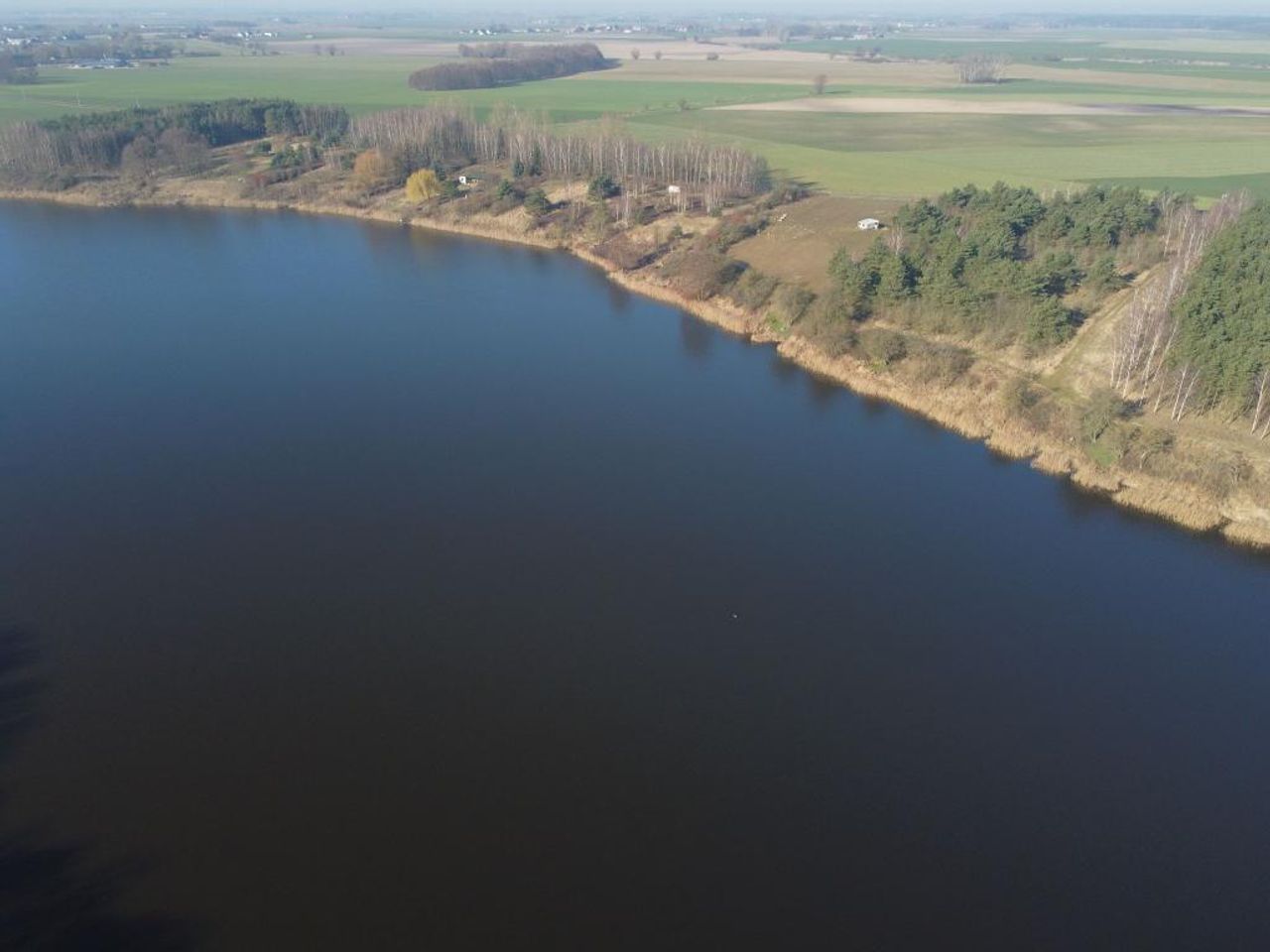 Zdjęcie 5