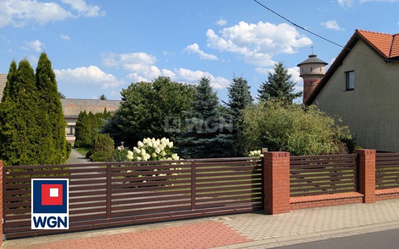 Zdjęcie 5
