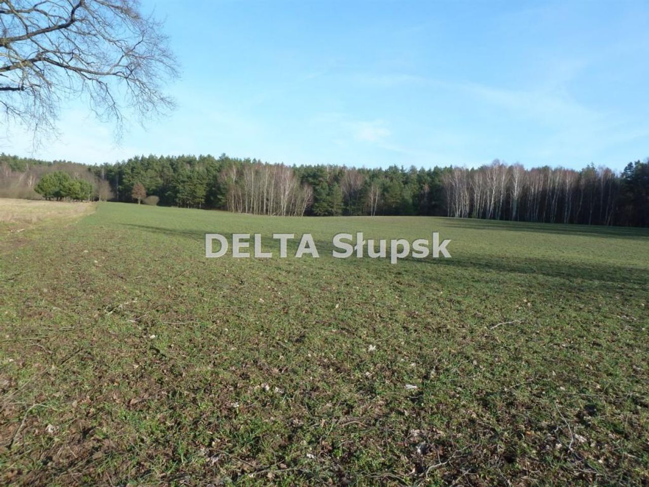 Działka na sprzedaż, Kruszyna
