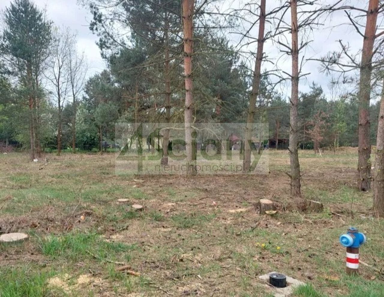 Zdjęcie 3