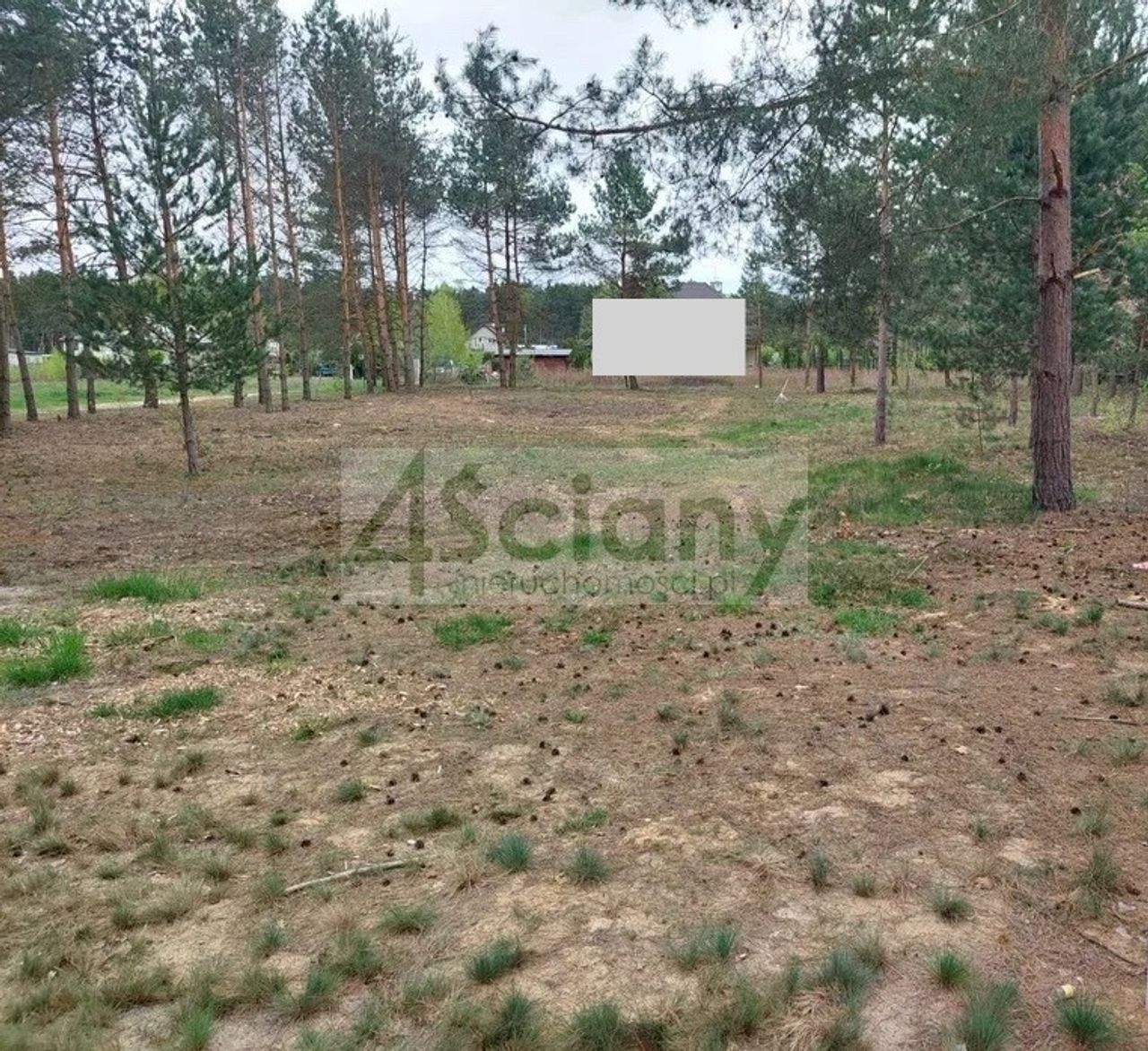 Zdjęcie 2
