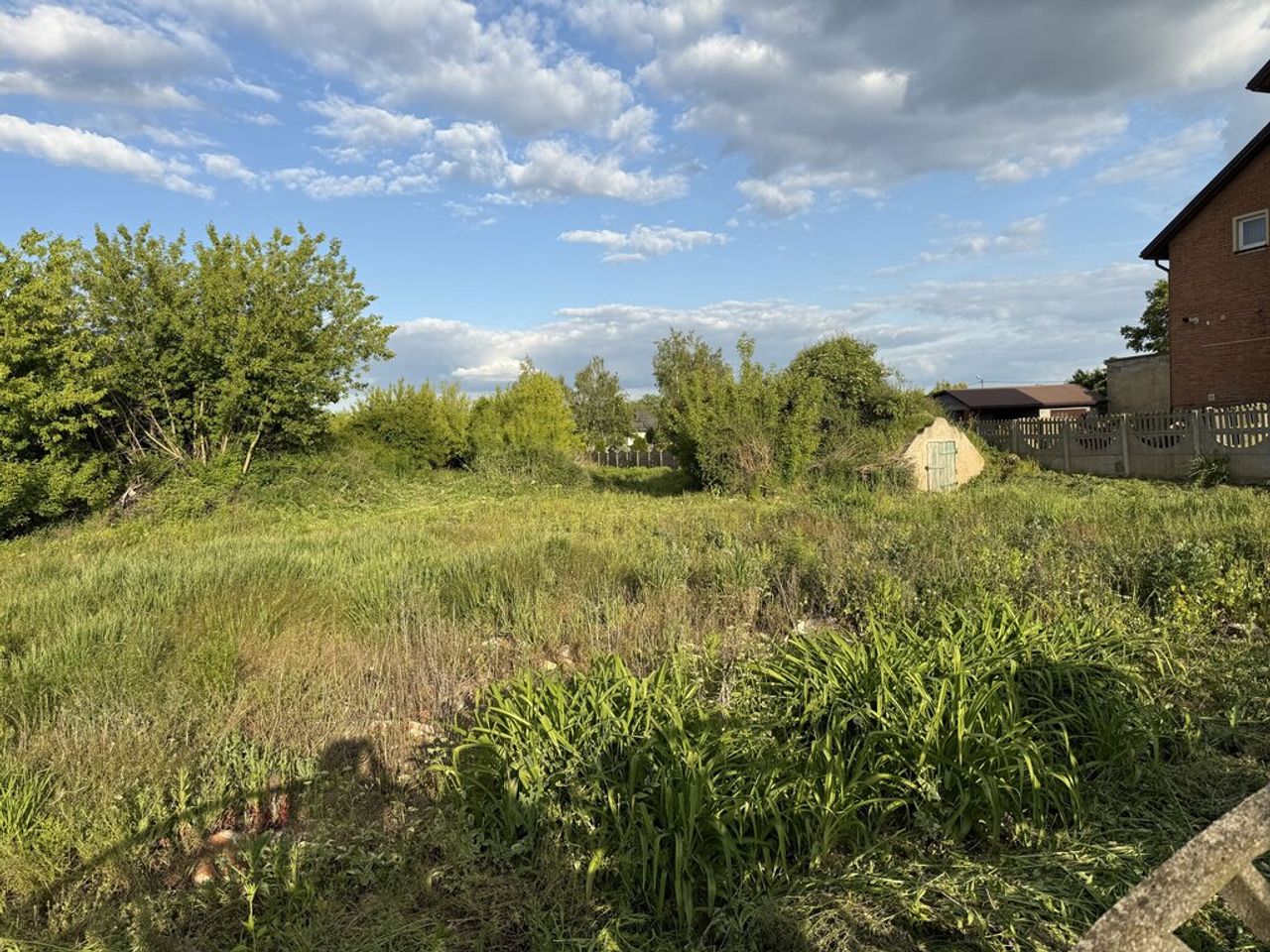 Zdjęcie 4