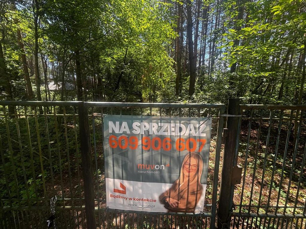 Zdjęcie 4