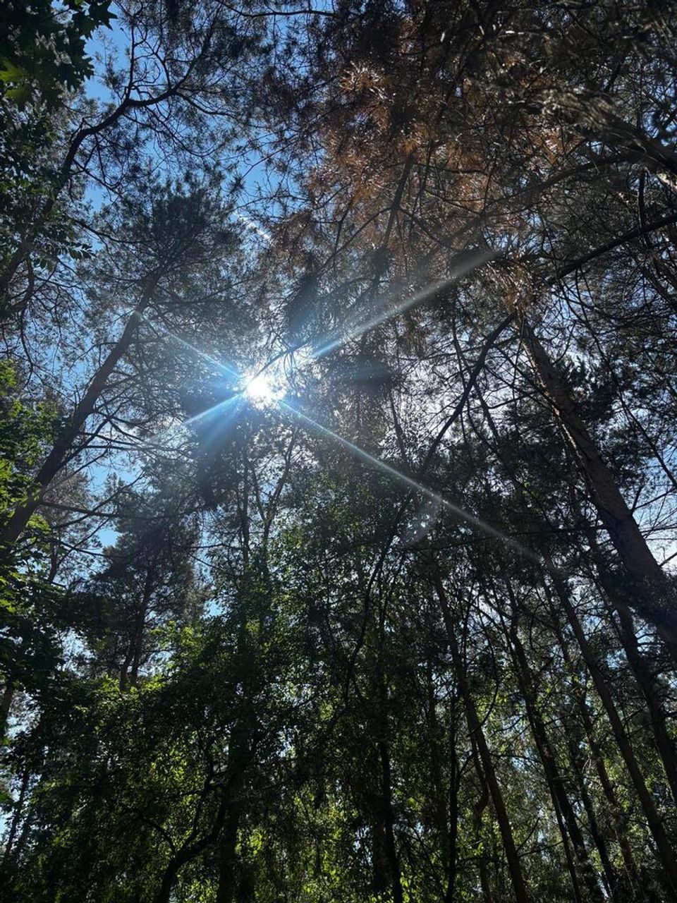 Zdjęcie 8