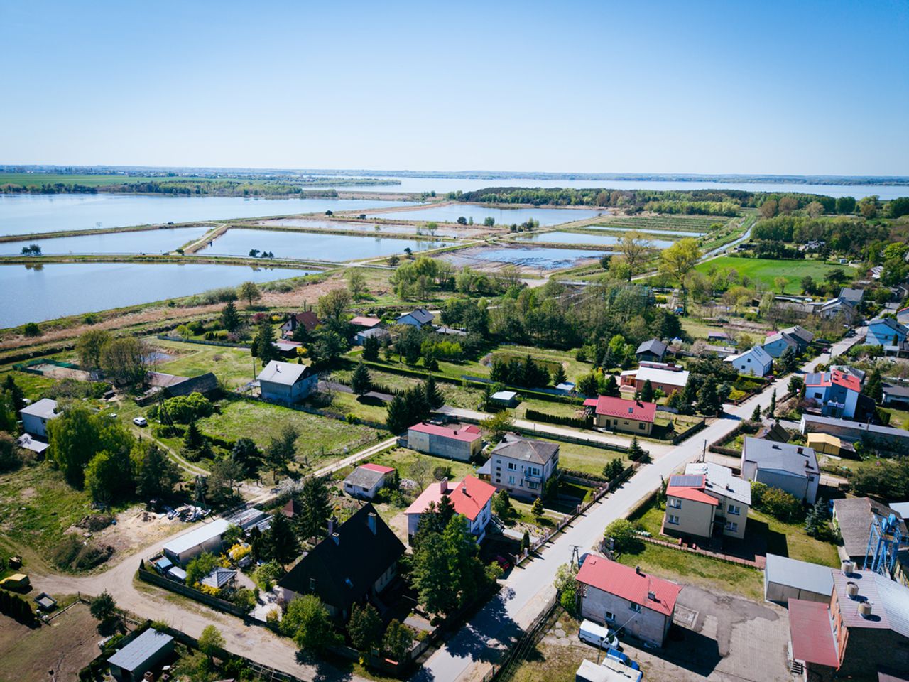 Zdjęcie 2
